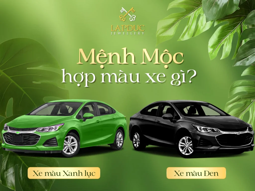 Mệnh Mộc Hợp Màu Gì 2026? Bí Quyết Chọn Trang Sức Phong Thủy 3 mệnh Mộc hợp màu gì